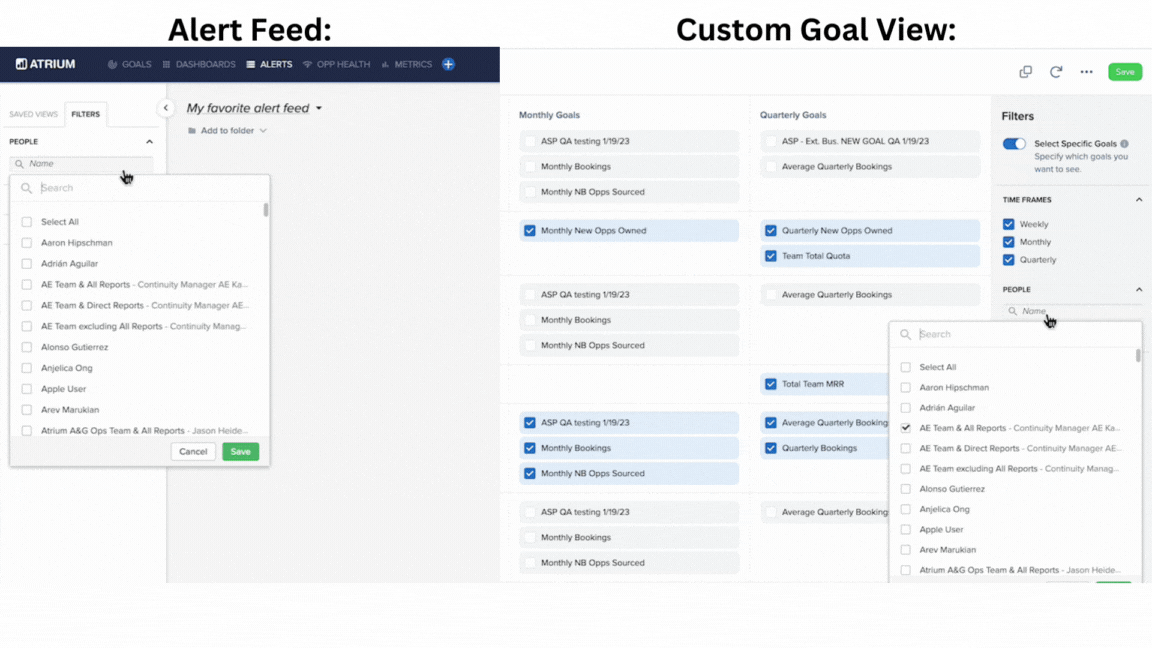 Custom_Goal_View.gif