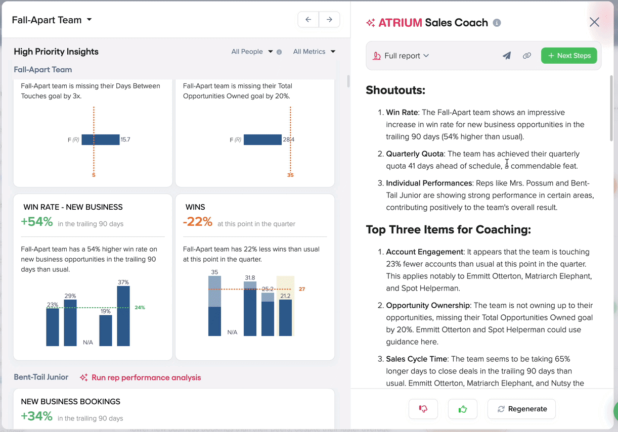 team coaching email - large.gif